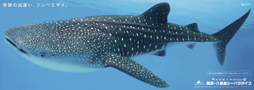 八景島シーパラダイス