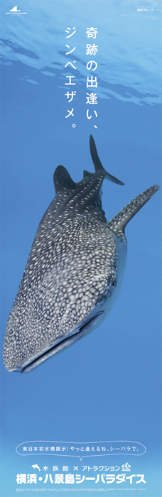 八景島シーパラダイス